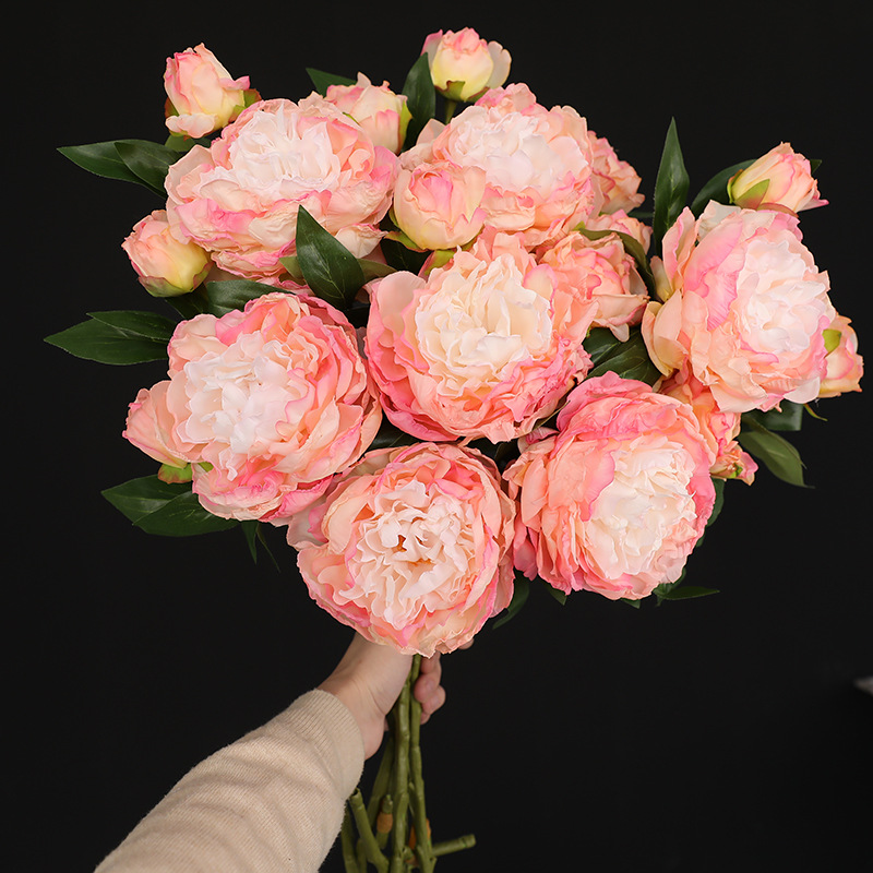 Photography Lighting Simulator Free - 1PC Retro 2 Head Peony Simulation